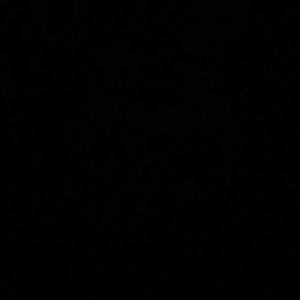 Meet your Posher, Jamarae